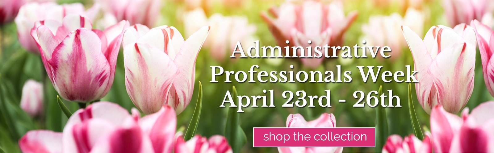 The Administrative Professionals Week Collection from Sharon Elizabeth's Floral Designs in Berlin, CT
