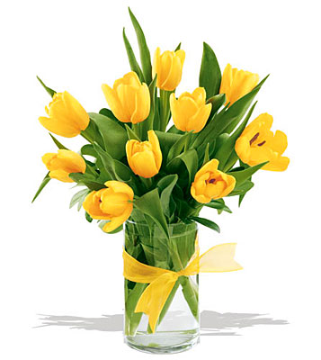 Sunny Yellow Tulips from Sharon Elizabeth's Floral Designs in Berlin, CT