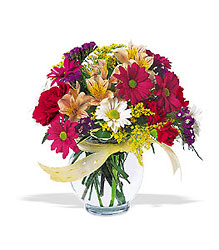 Joyful and Thrilling from Sharon Elizabeth's Floral Designs in Berlin, CT