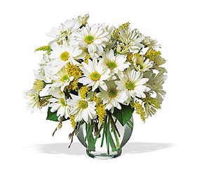 Daisy Cheer from Sharon Elizabeth's Floral Designs in Berlin, CT