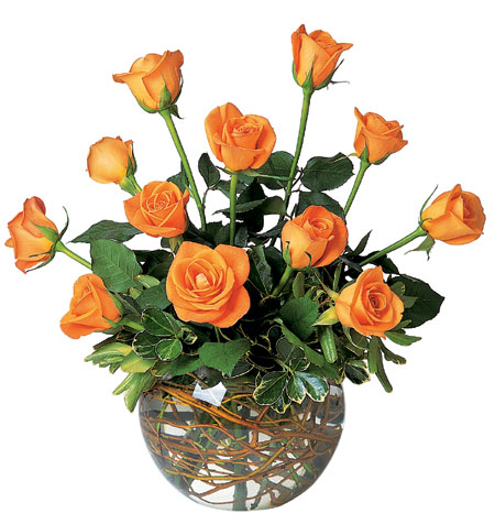 A Dozen Orange Roses from Sharon Elizabeth's Floral Designs in Berlin, CT